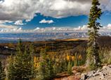 Colorado, cycling, bicycle touring, bicycle, Grand Mesa