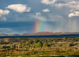 Colorado, cycling, bicycle touring, bicycle, Cedar Edge, No Name Mesa