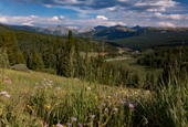 Colorado, cycling, bicycle touring, bicycle, Vail, Shrine Pass