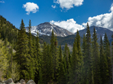 Colorado, cycling, bicycle touring, bicycle, Taylor Park, Cottonwood Pass, Buena Vista, Crested Butte