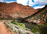 Picture Colorado River Road