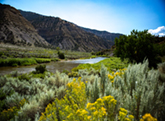 Colorado River Road