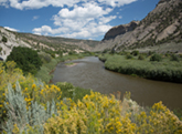 Picture Colorado River Road