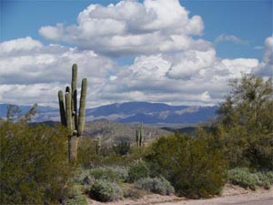 Usery Mountain