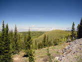 Colorado, cycling, bicycle touring, bicycle, Grand Mesa, Cedar Edge, Palisade