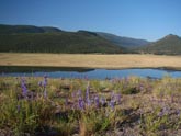 Colorado, cycling, bicycle touring, bicycle, Slumgullion Pass, Spring Creek Pass, Creede, Gunnison, Lake City, Rio Grande