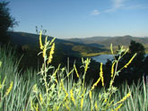 Colorado Cycling Rabbit Ears Pass